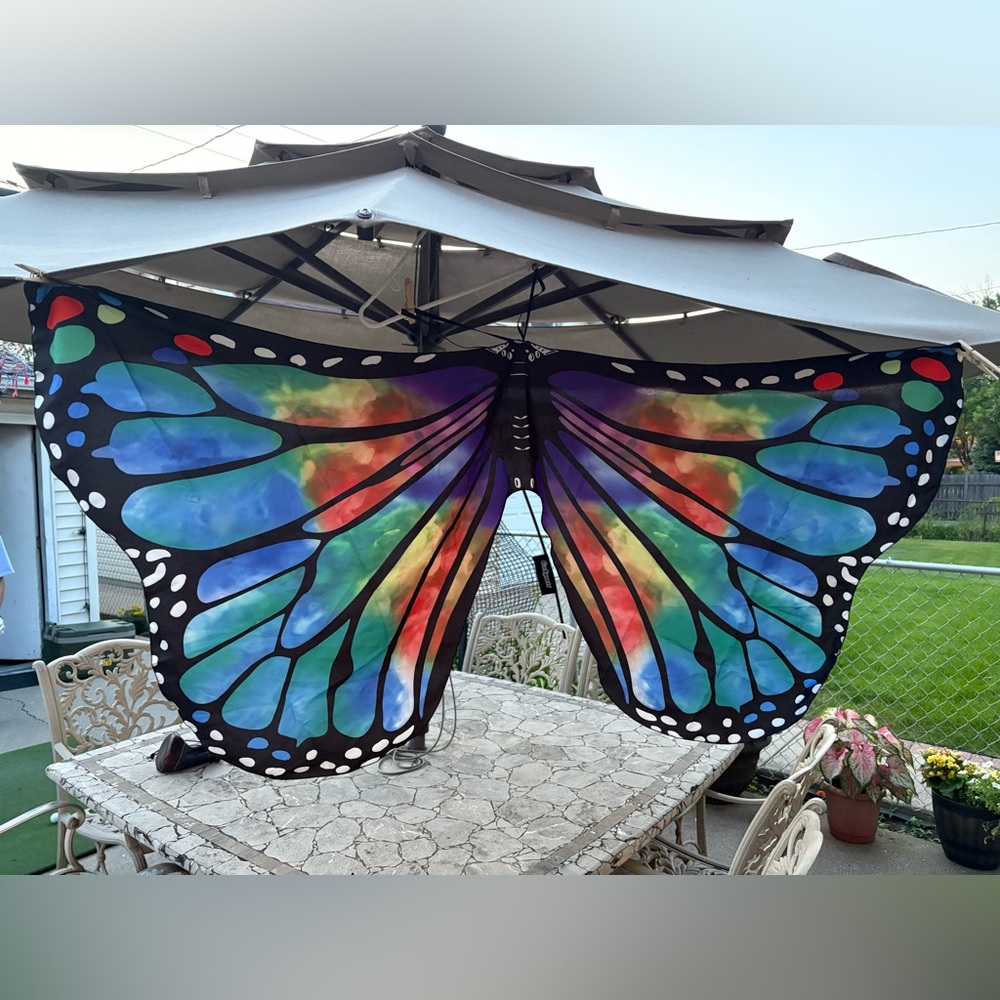 BUTTERFLY WINGS COSTUME | Full Wingspan | Halloween - Picture 5 of 11